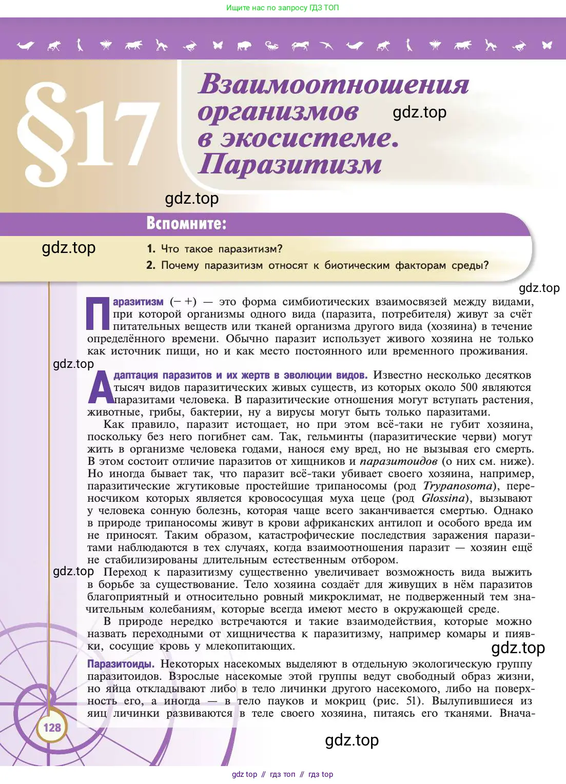 Биология, 11 класс Учебник, авторы: Пасечник Владимир Васильевич, Каменский Андрей Александрович, Рубцов Александр Михайлович, Швецов Глеб Геннадьевич, Абовян Леван Арташесович, Гапонюк Зоя Георгиевна, издательство Просвещение, Москва, 2019, страница 128