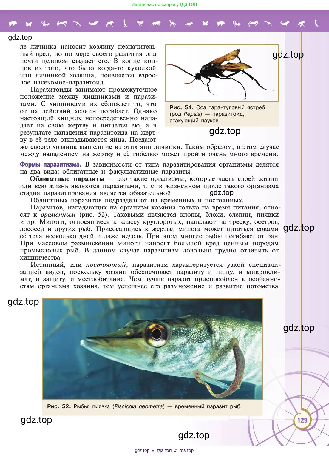 Биология, 11 класс Учебник, авторы: Пасечник Владимир Васильевич, Каменский Андрей Александрович, Рубцов Александр Михайлович, Швецов Глеб Геннадьевич, Абовян Леван Арташесович, Гапонюк Зоя Георгиевна, издательство Просвещение, Москва, 2019, страница 129