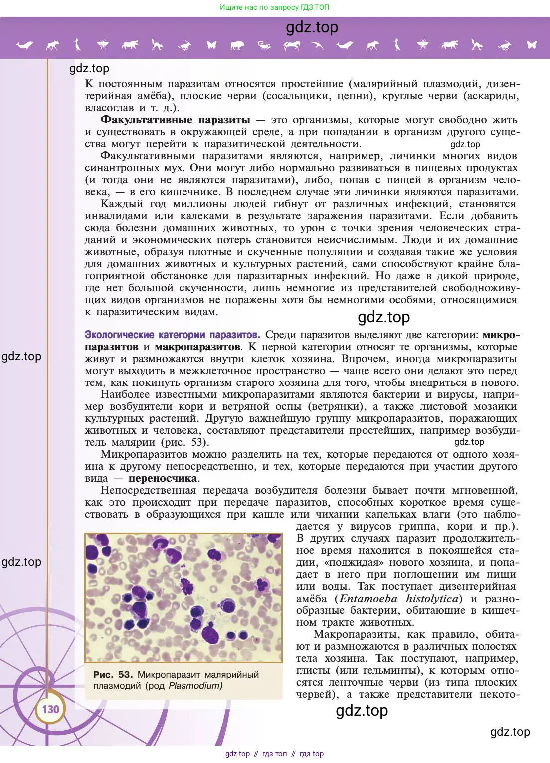 Биология, 11 класс Учебник, авторы: Пасечник Владимир Васильевич, Каменский Андрей Александрович, Рубцов Александр Михайлович, Швецов Глеб Геннадьевич, Абовян Леван Арташесович, Гапонюк Зоя Георгиевна, издательство Просвещение, Москва, 2019, страница 130