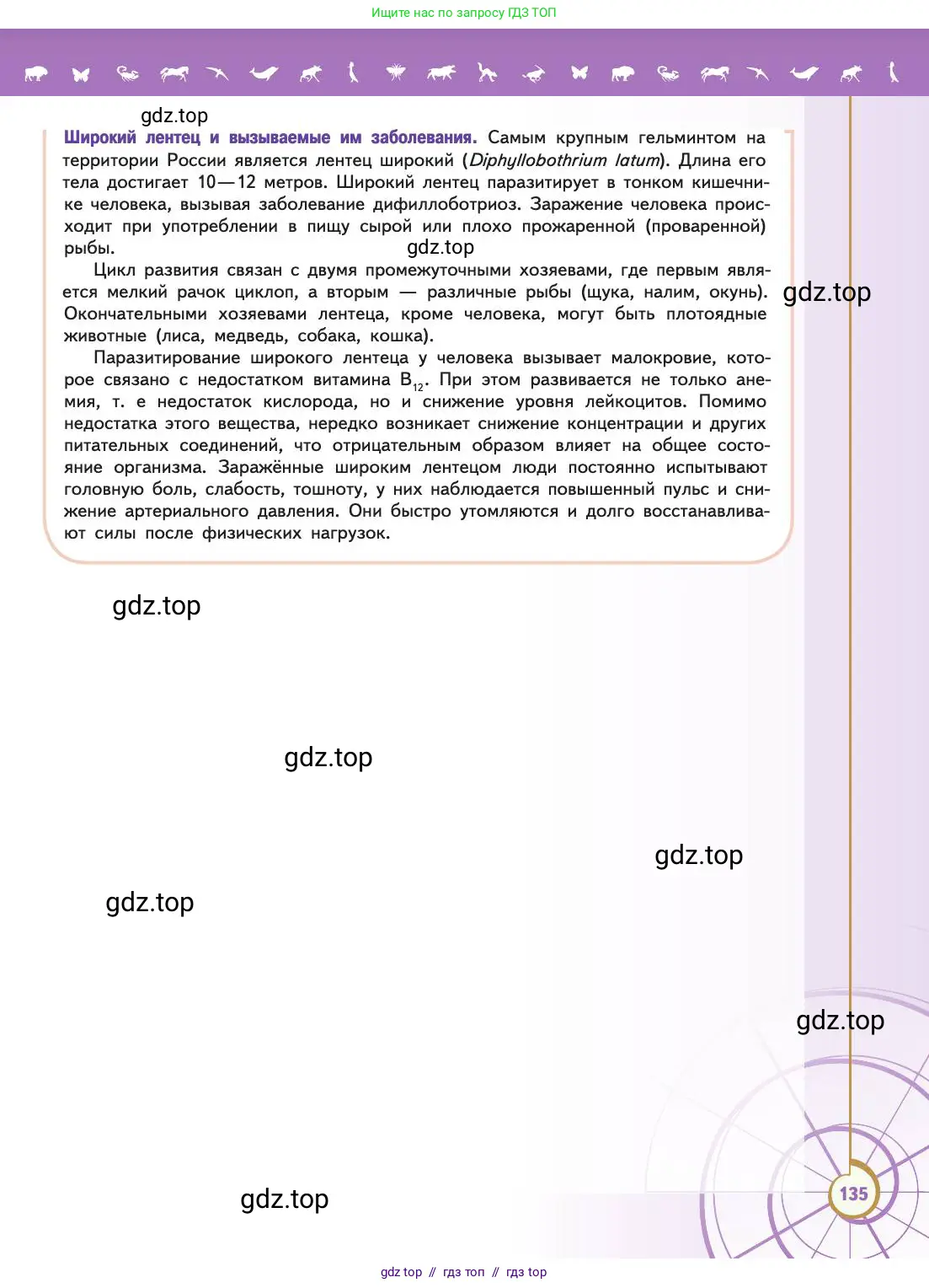 Биология, 11 класс Учебник, авторы: Пасечник Владимир Васильевич, Каменский Андрей Александрович, Рубцов Александр Михайлович, Швецов Глеб Геннадьевич, Абовян Леван Арташесович, Гапонюк Зоя Георгиевна, издательство Просвещение, Москва, 2019, страница 135