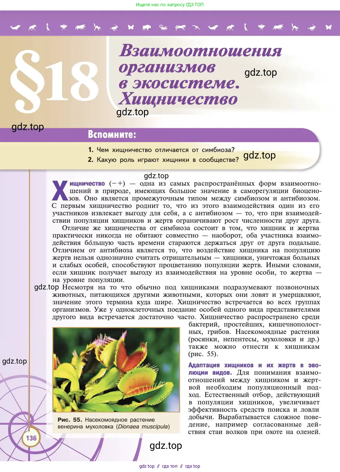 Биология, 11 класс Учебник, авторы: Пасечник Владимир Васильевич, Каменский Андрей Александрович, Рубцов Александр Михайлович, Швецов Глеб Геннадьевич, Абовян Леван Арташесович, Гапонюк Зоя Георгиевна, издательство Просвещение, Москва, 2019, страница 136