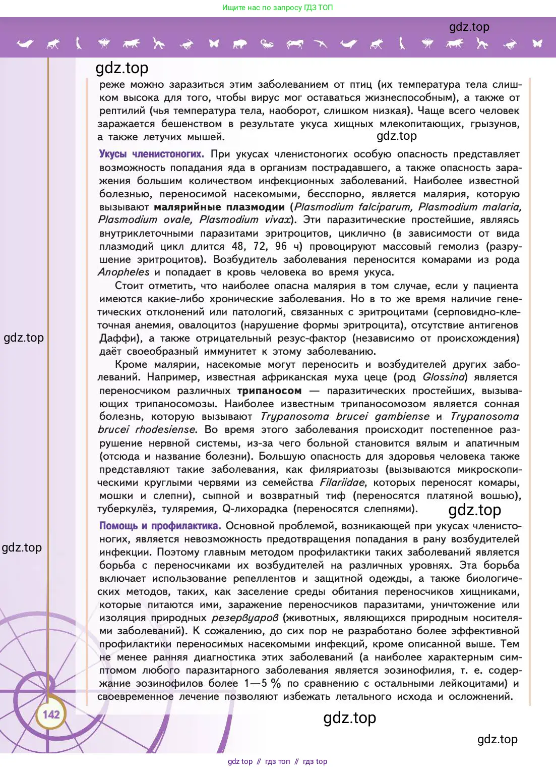 Биология, 11 класс Учебник, авторы: Пасечник Владимир Васильевич, Каменский Андрей Александрович, Рубцов Александр Михайлович, Швецов Глеб Геннадьевич, Абовян Леван Арташесович, Гапонюк Зоя Георгиевна, издательство Просвещение, Москва, 2019, страница 142