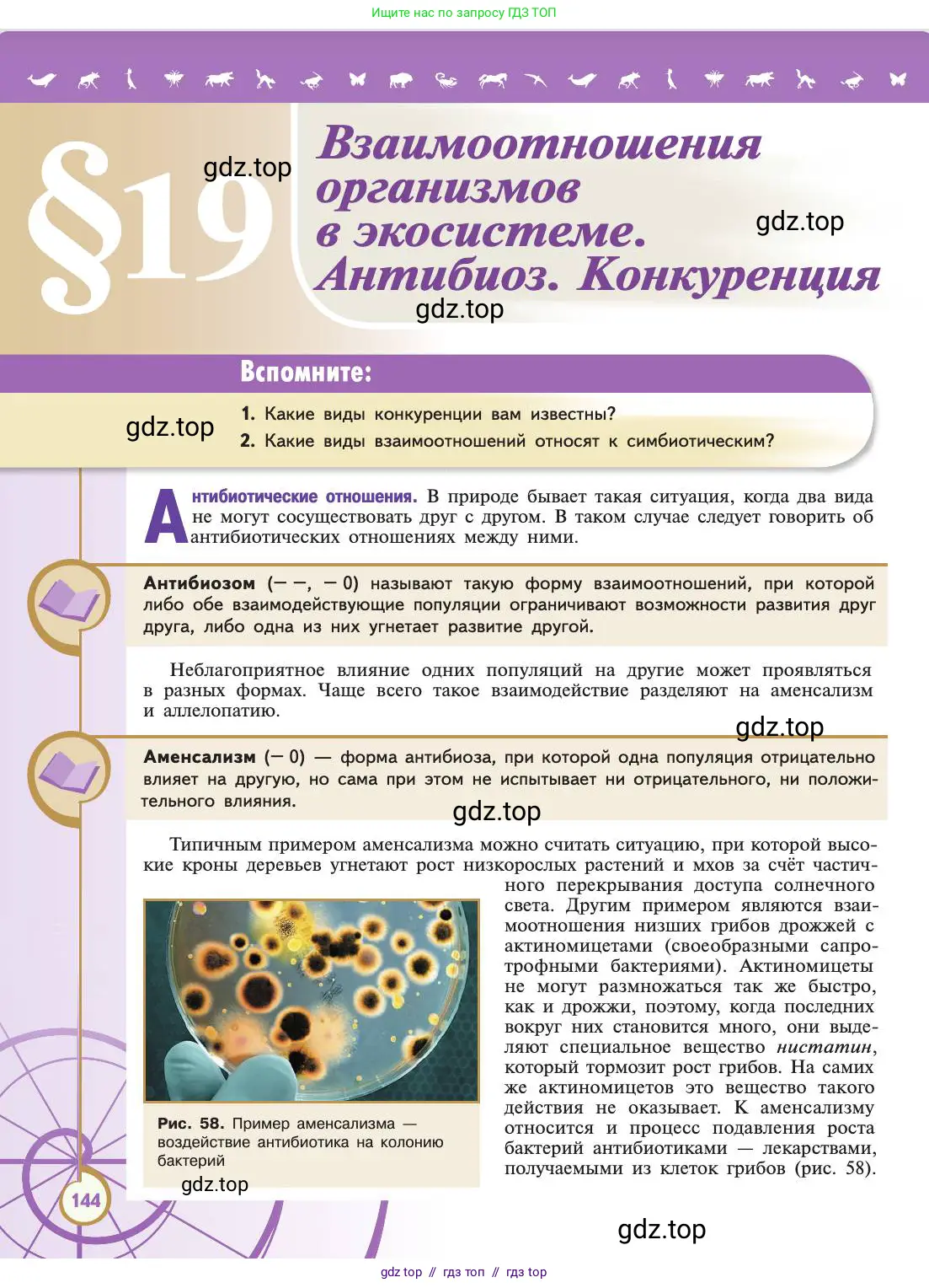 Биология, 11 класс Учебник, авторы: Пасечник Владимир Васильевич, Каменский Андрей Александрович, Рубцов Александр Михайлович, Швецов Глеб Геннадьевич, Абовян Леван Арташесович, Гапонюк Зоя Георгиевна, издательство Просвещение, Москва, 2019, страница 144
