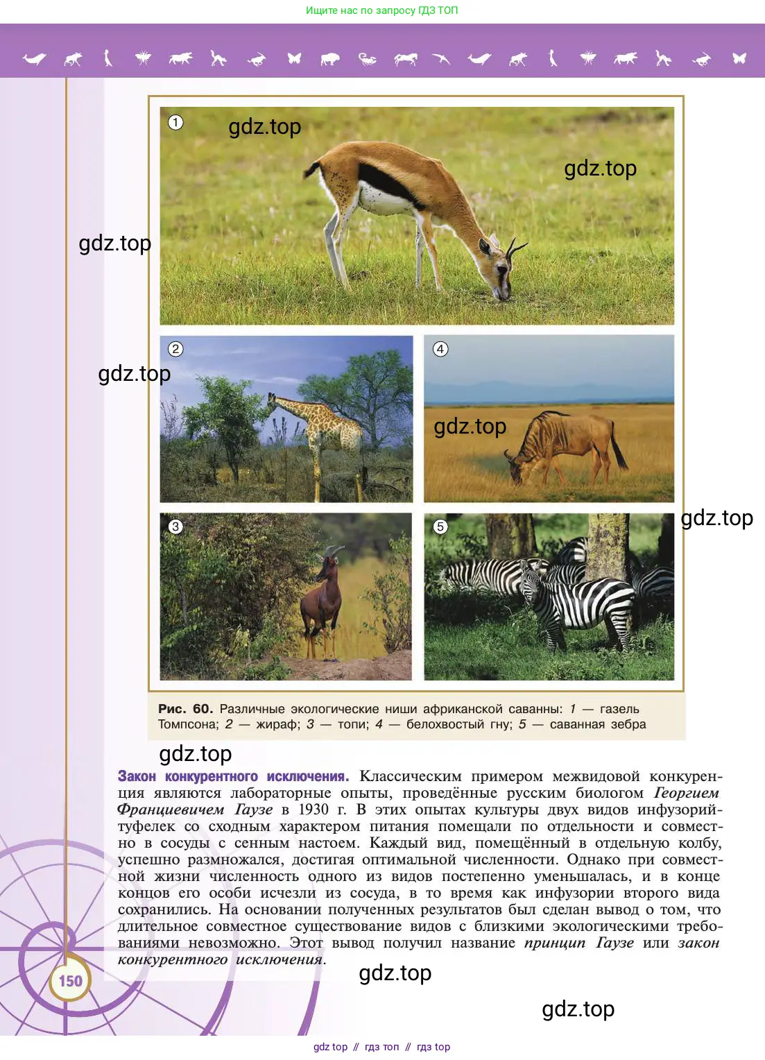 Биология, 11 класс Учебник, авторы: Пасечник Владимир Васильевич, Каменский Андрей Александрович, Рубцов Александр Михайлович, Швецов Глеб Геннадьевич, Абовян Леван Арташесович, Гапонюк Зоя Георгиевна, издательство Просвещение, Москва, 2019, страница 150