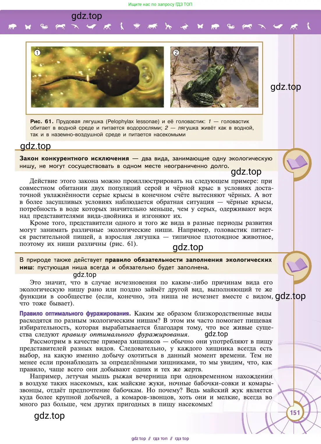 Биология, 11 класс Учебник, авторы: Пасечник Владимир Васильевич, Каменский Андрей Александрович, Рубцов Александр Михайлович, Швецов Глеб Геннадьевич, Абовян Леван Арташесович, Гапонюк Зоя Георгиевна, издательство Просвещение, Москва, 2019, страница 151