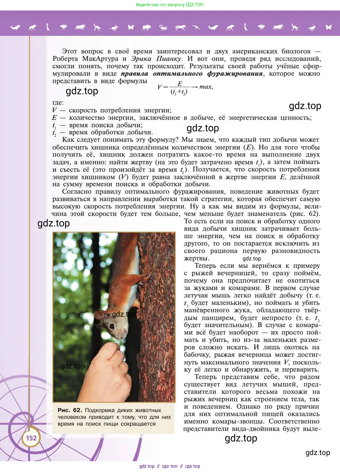 Биология, 11 класс Учебник, авторы: Пасечник Владимир Васильевич, Каменский Андрей Александрович, Рубцов Александр Михайлович, Швецов Глеб Геннадьевич, Абовян Леван Арташесович, Гапонюк Зоя Георгиевна, издательство Просвещение, Москва, 2019, страница 152