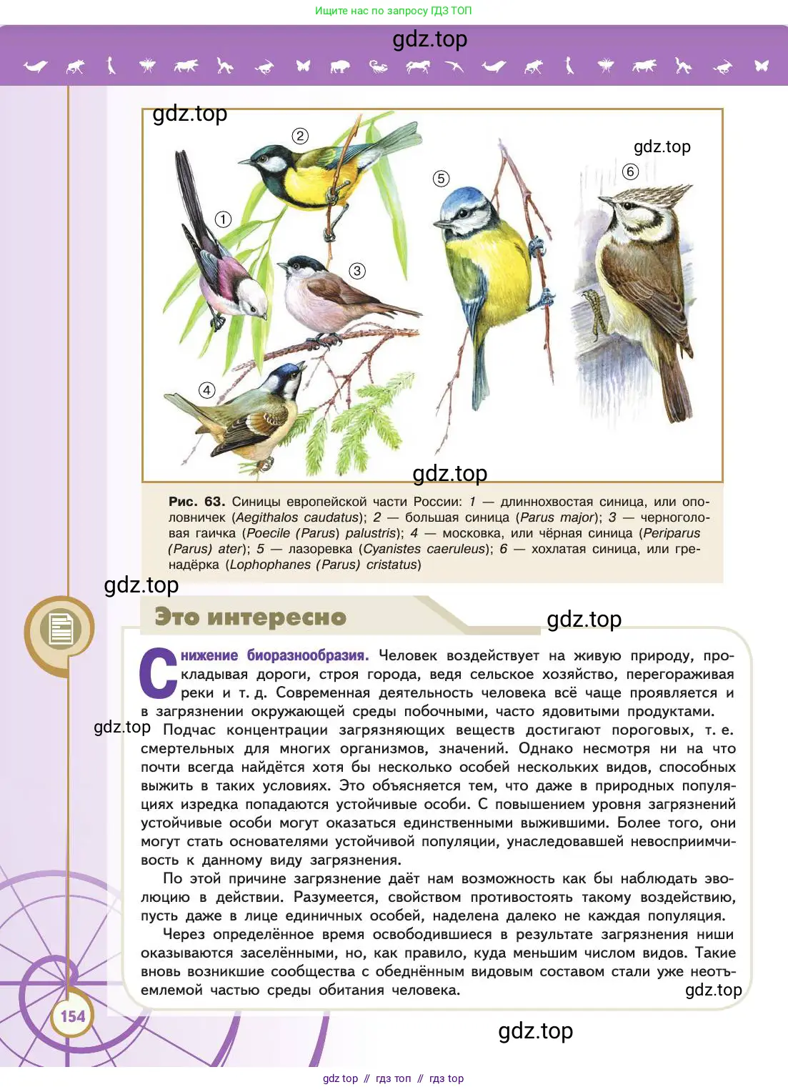 Биология, 11 класс Учебник, авторы: Пасечник Владимир Васильевич, Каменский Андрей Александрович, Рубцов Александр Михайлович, Швецов Глеб Геннадьевич, Абовян Леван Арташесович, Гапонюк Зоя Георгиевна, издательство Просвещение, Москва, 2019, страница 154