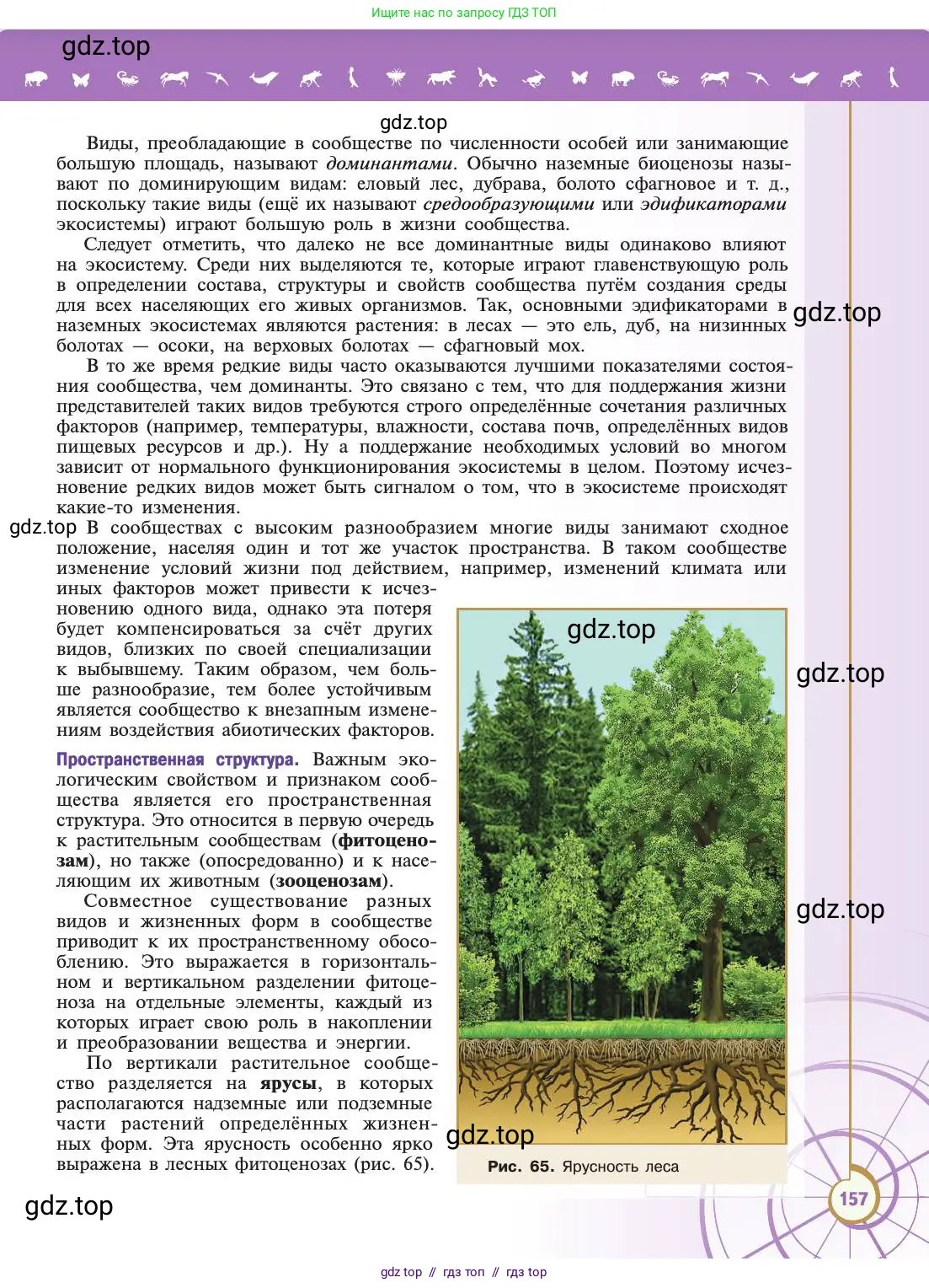 Биология, 11 класс Учебник, авторы: Пасечник Владимир Васильевич, Каменский Андрей Александрович, Рубцов Александр Михайлович, Швецов Глеб Геннадьевич, Абовян Леван Арташесович, Гапонюк Зоя Георгиевна, издательство Просвещение, Москва, 2019, страница 157