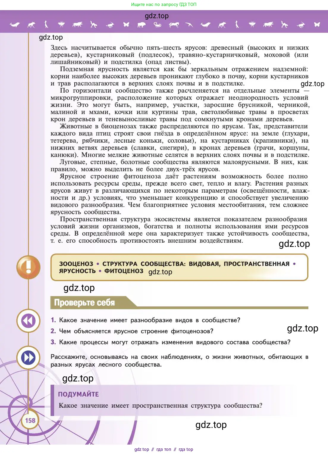 Биология, 11 класс Учебник, авторы: Пасечник Владимир Васильевич, Каменский Андрей Александрович, Рубцов Александр Михайлович, Швецов Глеб Геннадьевич, Абовян Леван Арташесович, Гапонюк Зоя Георгиевна, издательство Просвещение, Москва, 2019, страница 158