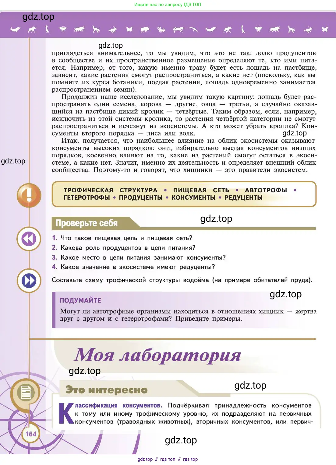Биология, 11 класс Учебник, авторы: Пасечник Владимир Васильевич, Каменский Андрей Александрович, Рубцов Александр Михайлович, Швецов Глеб Геннадьевич, Абовян Леван Арташесович, Гапонюк Зоя Георгиевна, издательство Просвещение, Москва, 2019, страница 164