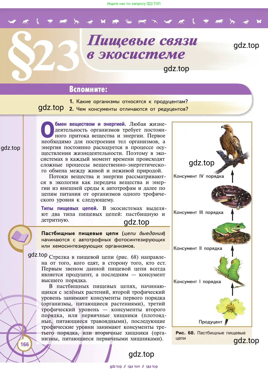 Биология, 11 класс Учебник, авторы: Пасечник Владимир Васильевич, Каменский Андрей Александрович, Рубцов Александр Михайлович, Швецов Глеб Геннадьевич, Абовян Леван Арташесович, Гапонюк Зоя Георгиевна, издательство Просвещение, Москва, 2019, страница 166