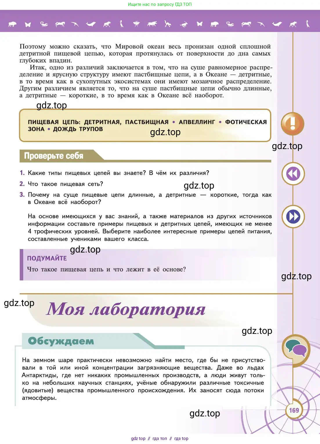 Биология, 11 класс Учебник, авторы: Пасечник Владимир Васильевич, Каменский Андрей Александрович, Рубцов Александр Михайлович, Швецов Глеб Геннадьевич, Абовян Леван Арташесович, Гапонюк Зоя Георгиевна, издательство Просвещение, Москва, 2019, страница 169