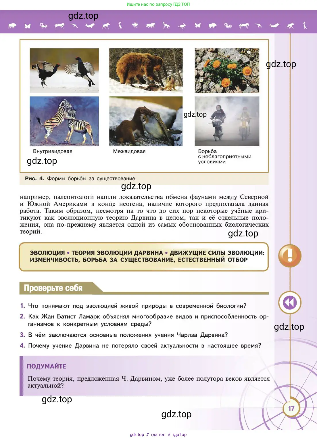 Биология, 11 класс Учебник, авторы: Пасечник Владимир Васильевич, Каменский Андрей Александрович, Рубцов Александр Михайлович, Швецов Глеб Геннадьевич, Абовян Леван Арташесович, Гапонюк Зоя Георгиевна, издательство Просвещение, Москва, 2019, страница 17