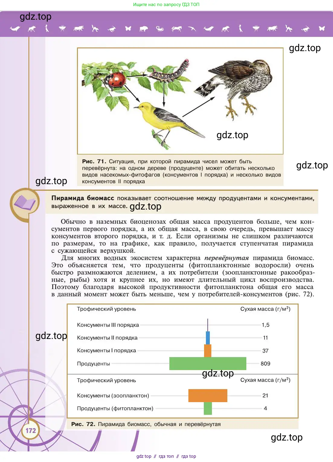 Биология, 11 класс Учебник, авторы: Пасечник Владимир Васильевич, Каменский Андрей Александрович, Рубцов Александр Михайлович, Швецов Глеб Геннадьевич, Абовян Леван Арташесович, Гапонюк Зоя Георгиевна, издательство Просвещение, Москва, 2019, страница 172