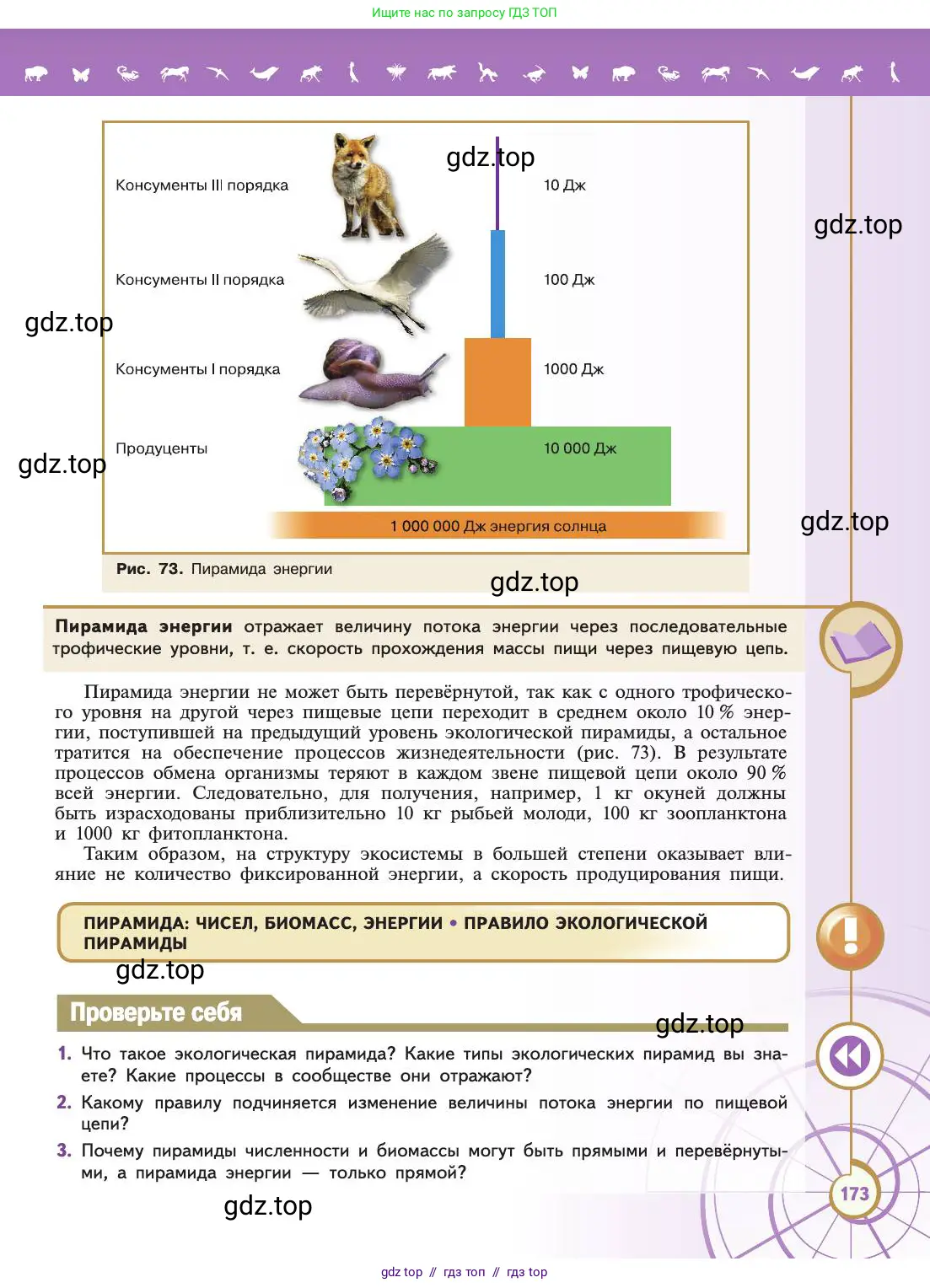 Биология, 11 класс Учебник, авторы: Пасечник Владимир Васильевич, Каменский Андрей Александрович, Рубцов Александр Михайлович, Швецов Глеб Геннадьевич, Абовян Леван Арташесович, Гапонюк Зоя Георгиевна, издательство Просвещение, Москва, 2019, страница 173