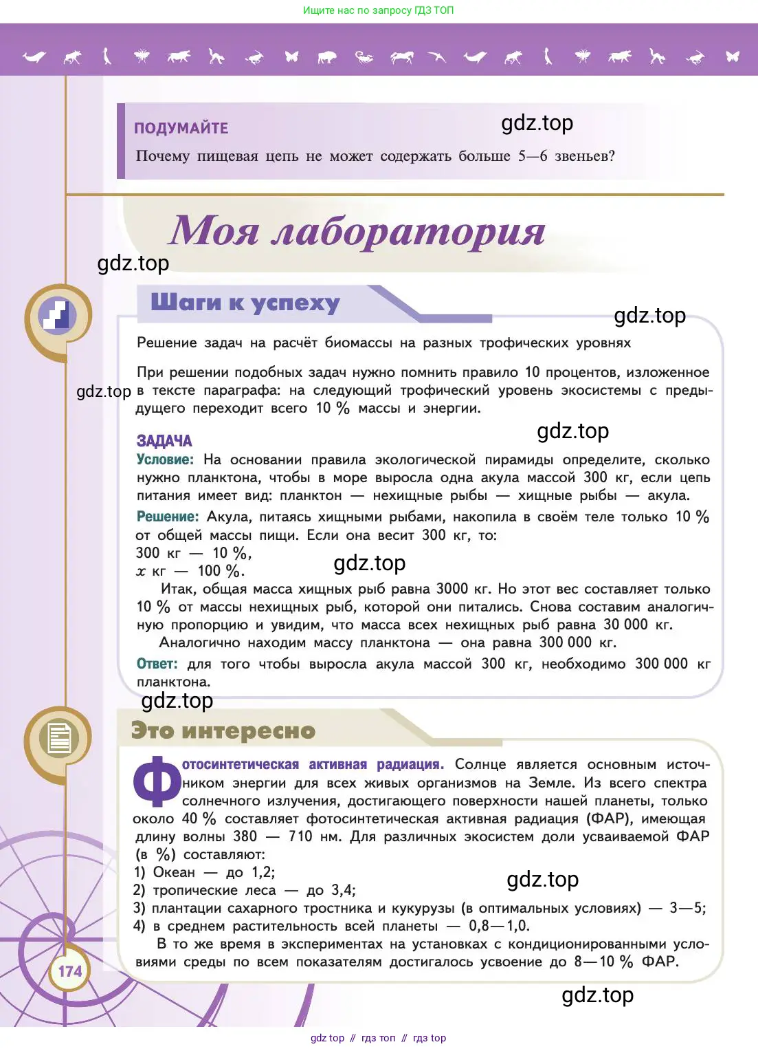 Биология, 11 класс Учебник, авторы: Пасечник Владимир Васильевич, Каменский Андрей Александрович, Рубцов Александр Михайлович, Швецов Глеб Геннадьевич, Абовян Леван Арташесович, Гапонюк Зоя Георгиевна, издательство Просвещение, Москва, 2019, страница 174