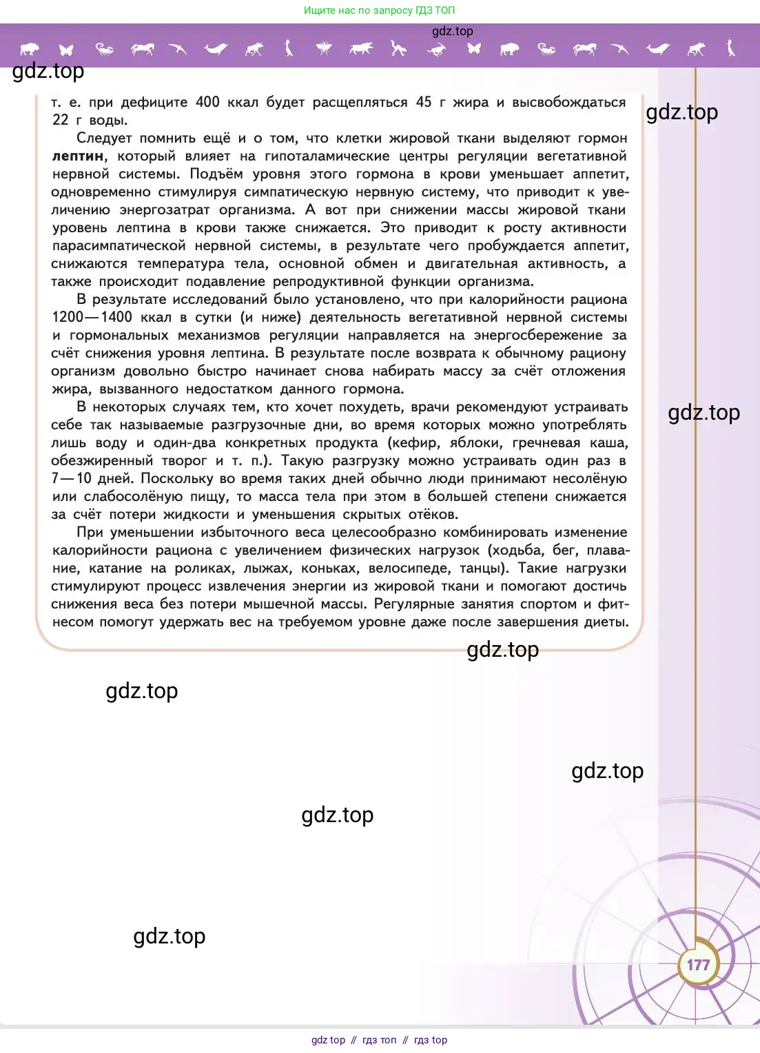 Биология, 11 класс Учебник, авторы: Пасечник Владимир Васильевич, Каменский Андрей Александрович, Рубцов Александр Михайлович, Швецов Глеб Геннадьевич, Абовян Леван Арташесович, Гапонюк Зоя Георгиевна, издательство Просвещение, Москва, 2019, страница 177