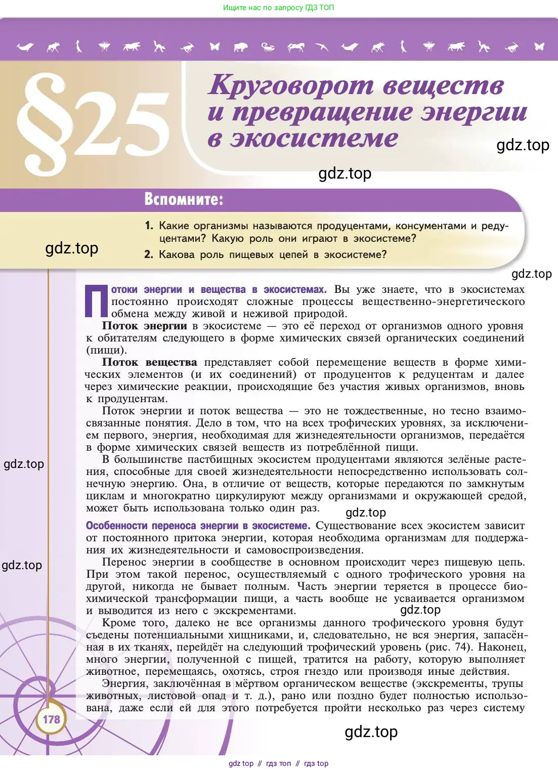 Биология, 11 класс Учебник, авторы: Пасечник Владимир Васильевич, Каменский Андрей Александрович, Рубцов Александр Михайлович, Швецов Глеб Геннадьевич, Абовян Леван Арташесович, Гапонюк Зоя Георгиевна, издательство Просвещение, Москва, 2019, страница 178