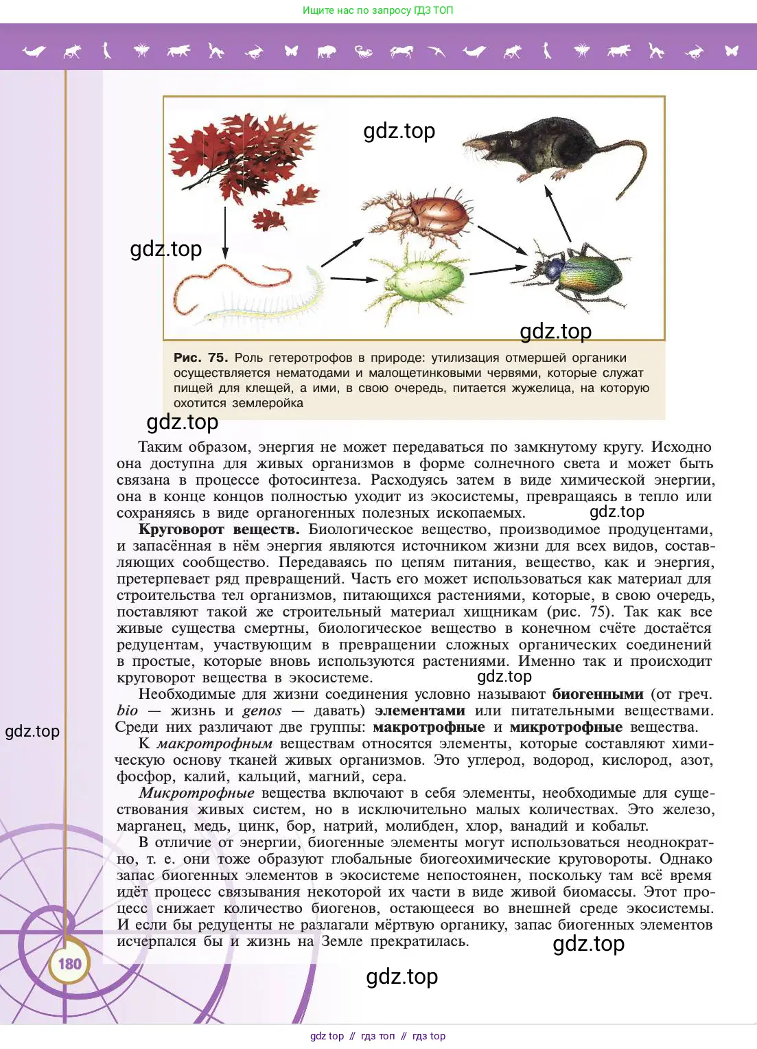 Биология, 11 класс Учебник, авторы: Пасечник Владимир Васильевич, Каменский Андрей Александрович, Рубцов Александр Михайлович, Швецов Глеб Геннадьевич, Абовян Леван Арташесович, Гапонюк Зоя Георгиевна, издательство Просвещение, Москва, 2019, страница 180