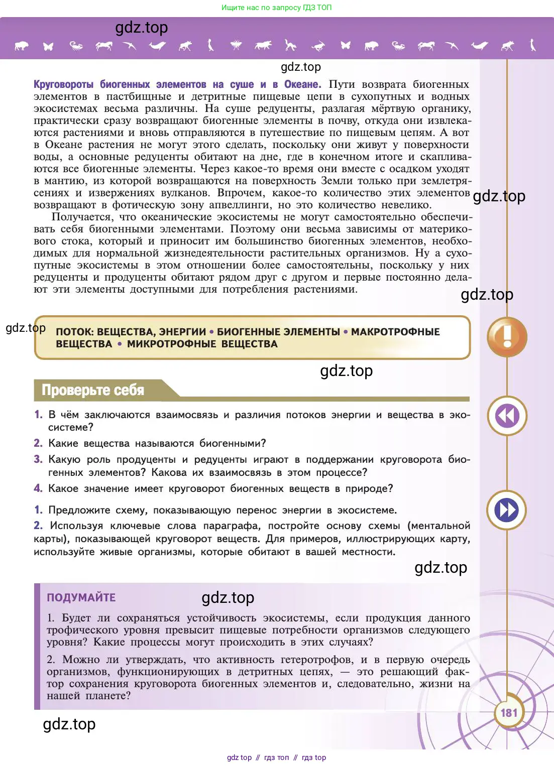 Биология, 11 класс Учебник, авторы: Пасечник Владимир Васильевич, Каменский Андрей Александрович, Рубцов Александр Михайлович, Швецов Глеб Геннадьевич, Абовян Леван Арташесович, Гапонюк Зоя Георгиевна, издательство Просвещение, Москва, 2019, страница 181