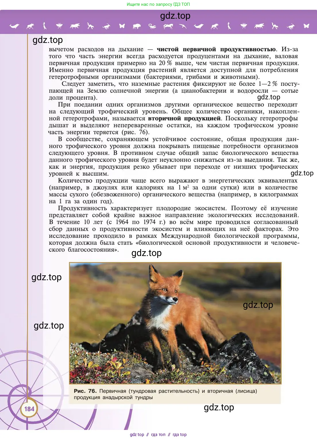 Биология, 11 класс Учебник, авторы: Пасечник Владимир Васильевич, Каменский Андрей Александрович, Рубцов Александр Михайлович, Швецов Глеб Геннадьевич, Абовян Леван Арташесович, Гапонюк Зоя Георгиевна, издательство Просвещение, Москва, 2019, страница 184
