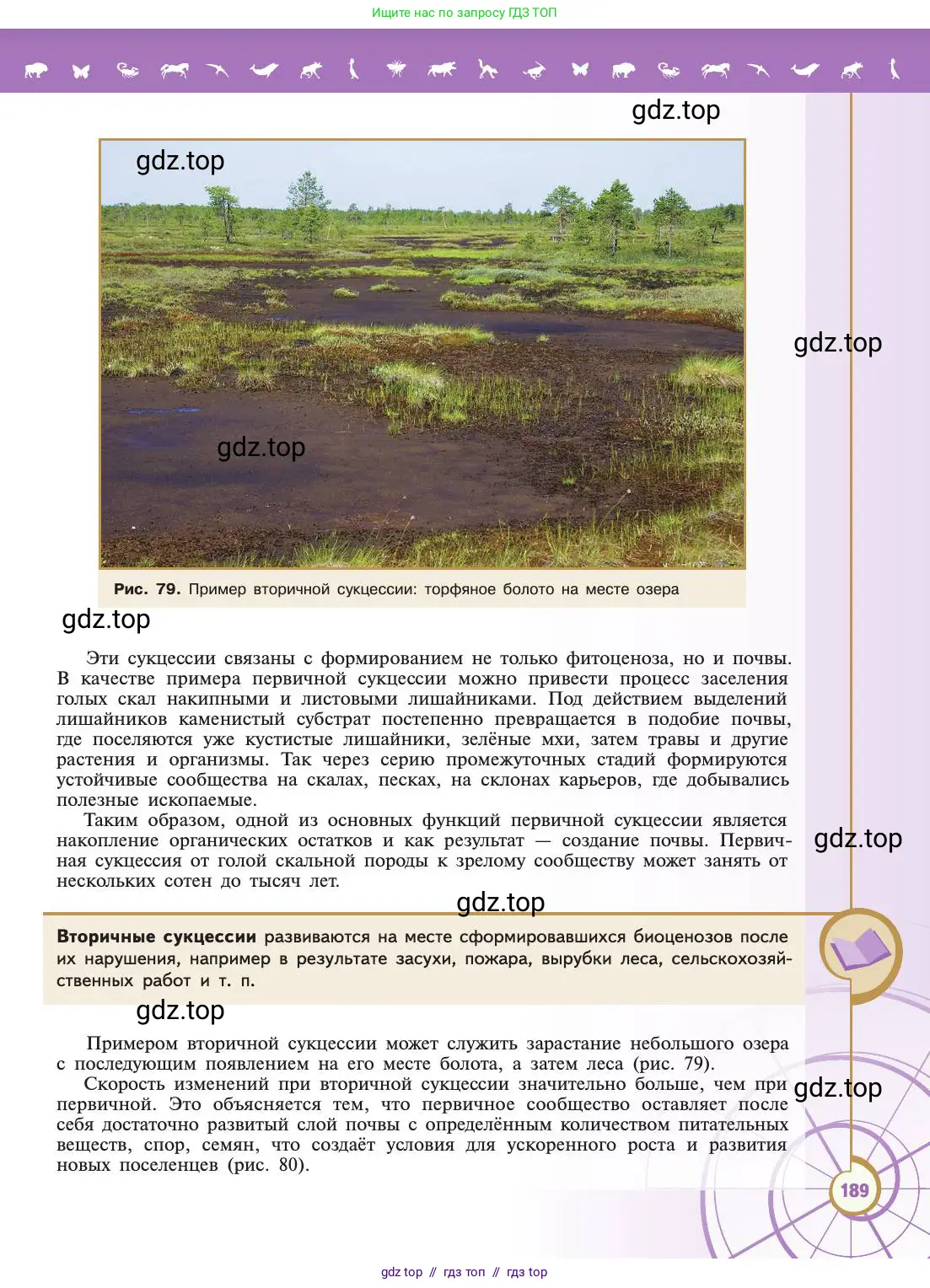 Биология, 11 класс Учебник, авторы: Пасечник Владимир Васильевич, Каменский Андрей Александрович, Рубцов Александр Михайлович, Швецов Глеб Геннадьевич, Абовян Леван Арташесович, Гапонюк Зоя Георгиевна, издательство Просвещение, Москва, 2019, страница 189