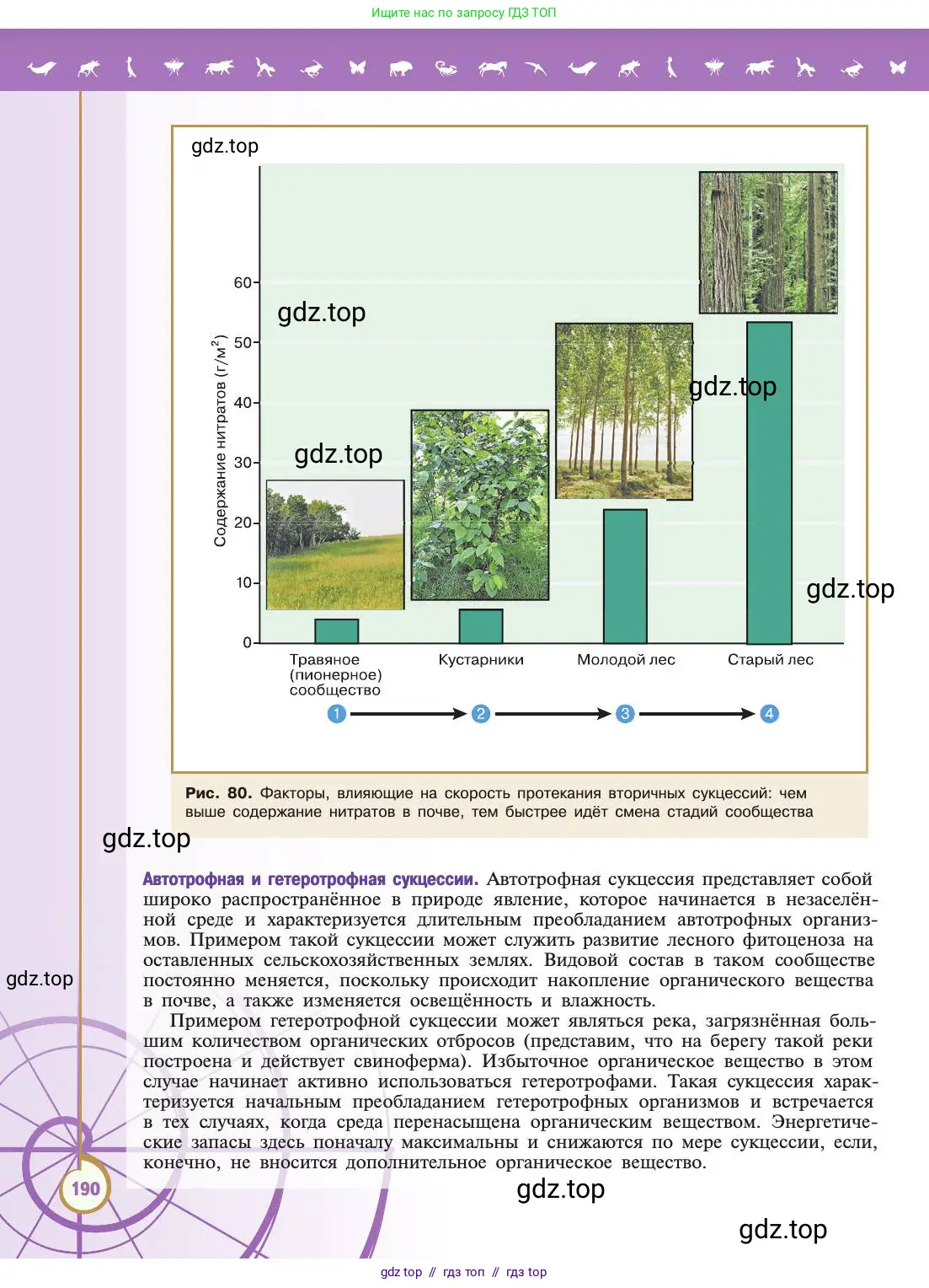Биология, 11 класс Учебник, авторы: Пасечник Владимир Васильевич, Каменский Андрей Александрович, Рубцов Александр Михайлович, Швецов Глеб Геннадьевич, Абовян Леван Арташесович, Гапонюк Зоя Георгиевна, издательство Просвещение, Москва, 2019, страница 190