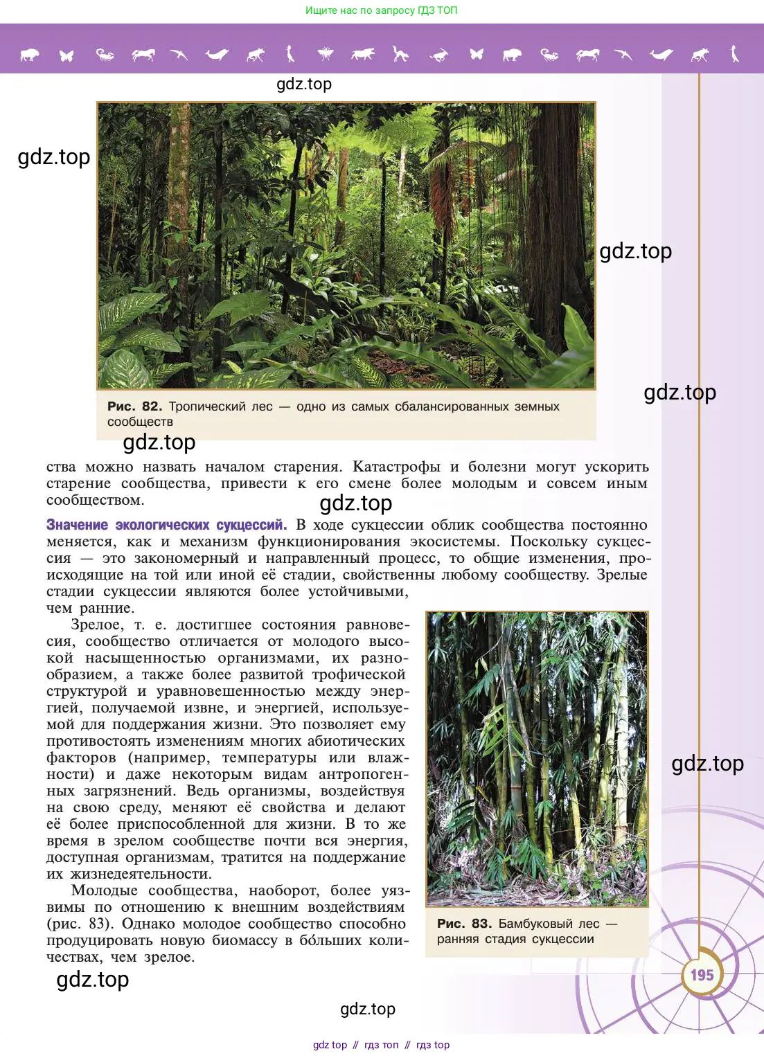 Биология, 11 класс Учебник, авторы: Пасечник Владимир Васильевич, Каменский Андрей Александрович, Рубцов Александр Михайлович, Швецов Глеб Геннадьевич, Абовян Леван Арташесович, Гапонюк Зоя Георгиевна, издательство Просвещение, Москва, 2019, страница 195