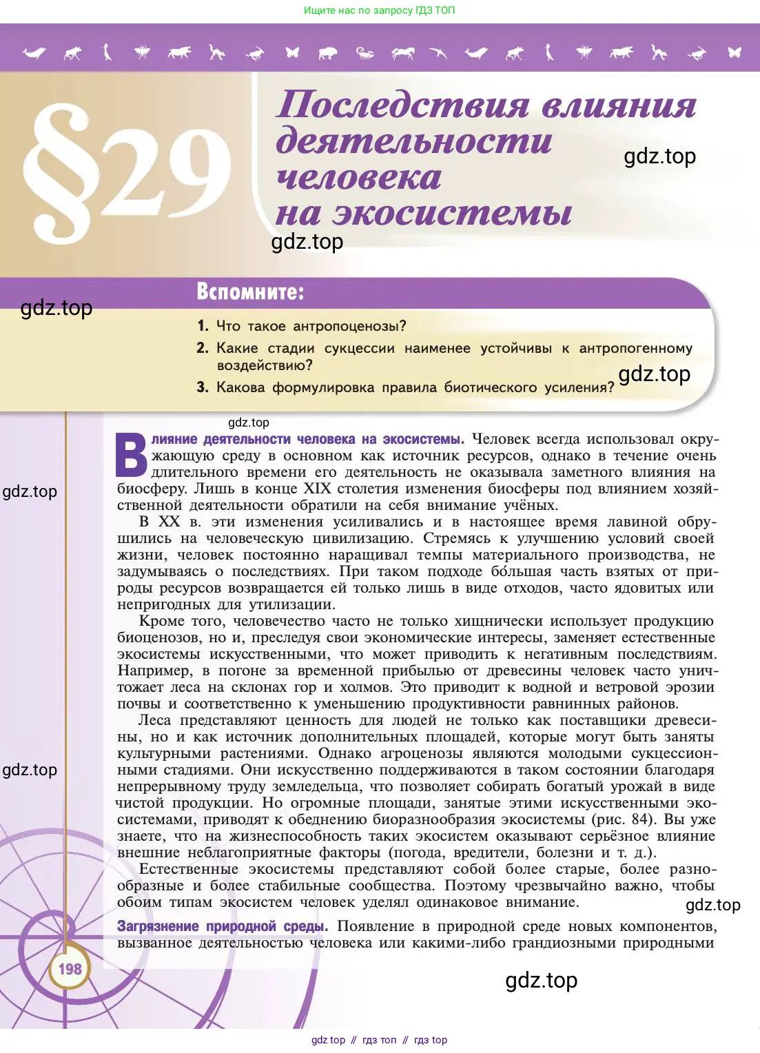 Биология, 11 класс Учебник, авторы: Пасечник Владимир Васильевич, Каменский Андрей Александрович, Рубцов Александр Михайлович, Швецов Глеб Геннадьевич, Абовян Леван Арташесович, Гапонюк Зоя Георгиевна, издательство Просвещение, Москва, 2019, страница 198