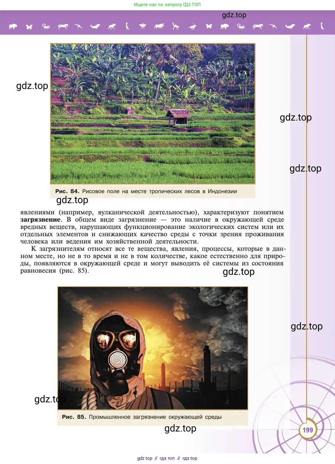 Биология, 11 класс Учебник, авторы: Пасечник Владимир Васильевич, Каменский Андрей Александрович, Рубцов Александр Михайлович, Швецов Глеб Геннадьевич, Абовян Леван Арташесович, Гапонюк Зоя Георгиевна, издательство Просвещение, Москва, 2019, страница 199