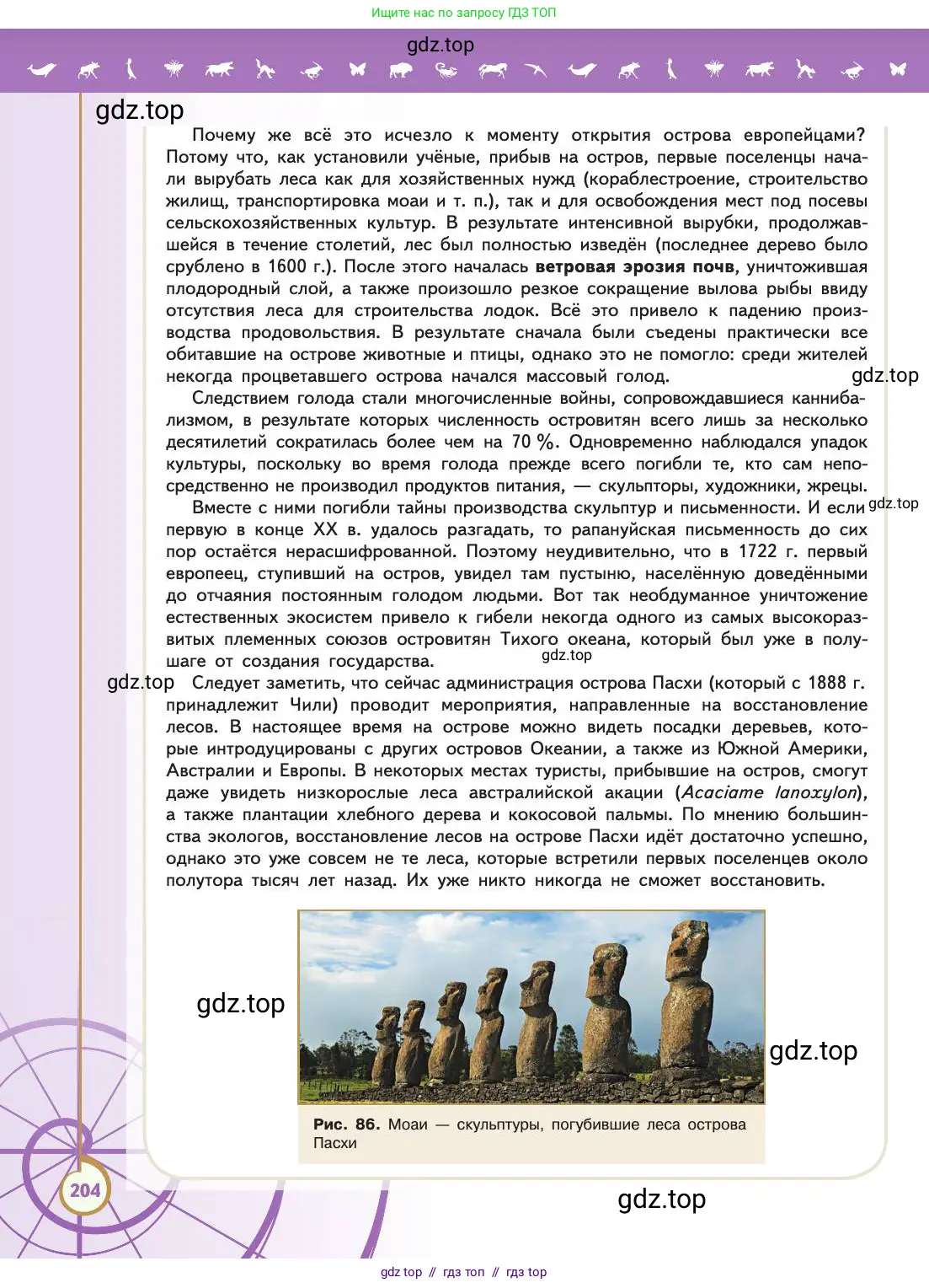 Биология, 11 класс Учебник, авторы: Пасечник Владимир Васильевич, Каменский Андрей Александрович, Рубцов Александр Михайлович, Швецов Глеб Геннадьевич, Абовян Леван Арташесович, Гапонюк Зоя Георгиевна, издательство Просвещение, Москва, 2019, страница 204