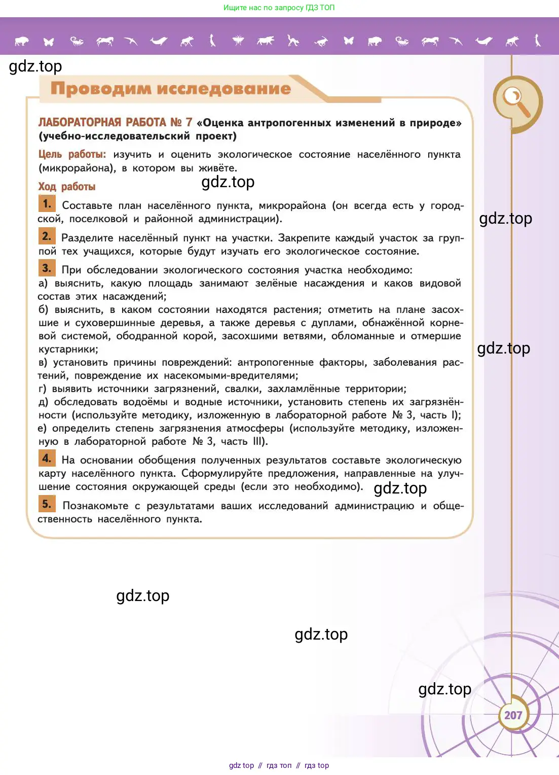 Биология, 11 класс Учебник, авторы: Пасечник Владимир Васильевич, Каменский Андрей Александрович, Рубцов Александр Михайлович, Швецов Глеб Геннадьевич, Абовян Леван Арташесович, Гапонюк Зоя Георгиевна, издательство Просвещение, Москва, 2019, страница 207