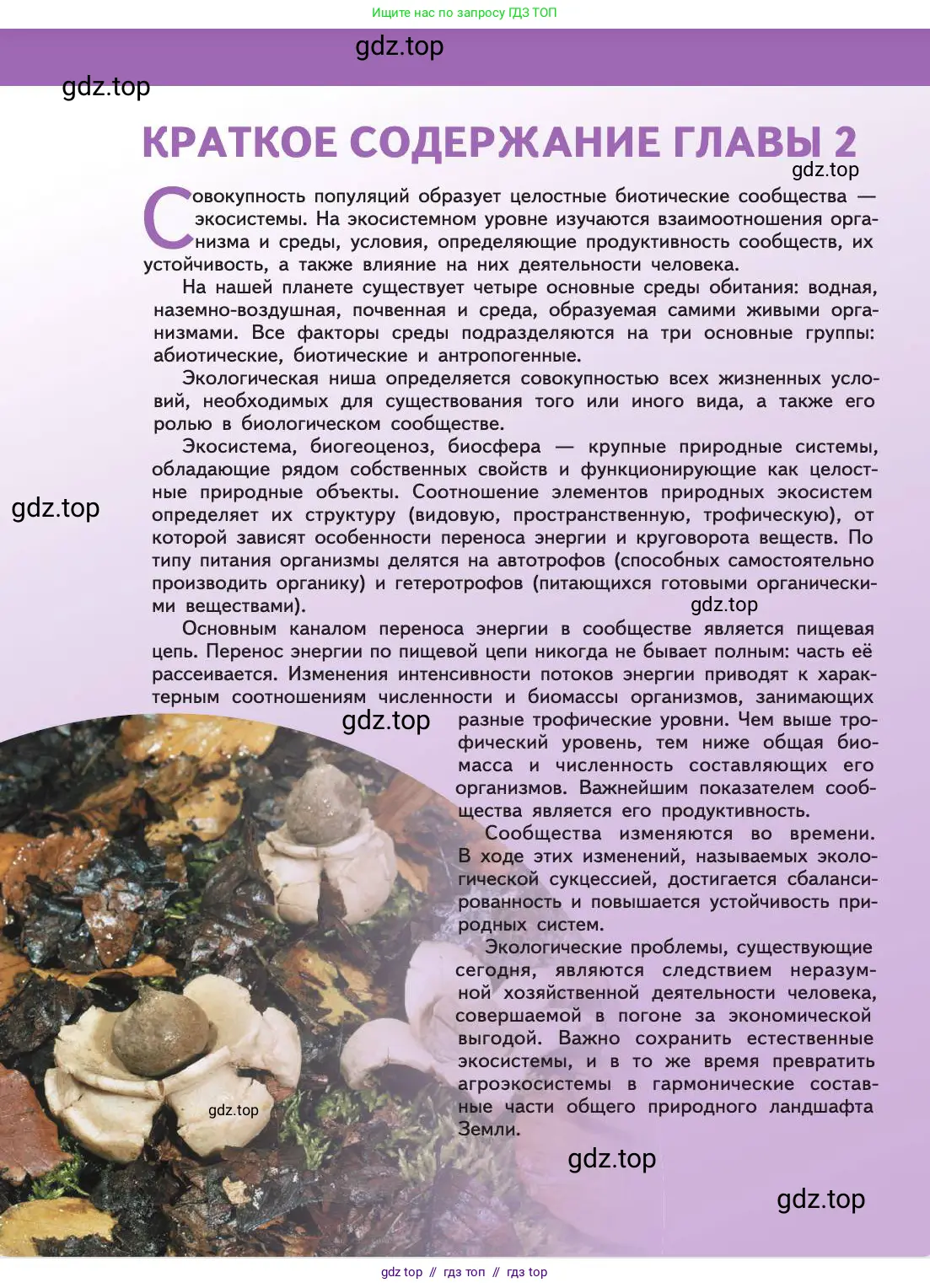 Биология, 11 класс Учебник, авторы: Пасечник Владимир Васильевич, Каменский Андрей Александрович, Рубцов Александр Михайлович, Швецов Глеб Геннадьевич, Абовян Леван Арташесович, Гапонюк Зоя Георгиевна, издательство Просвещение, Москва, 2019, страница 210