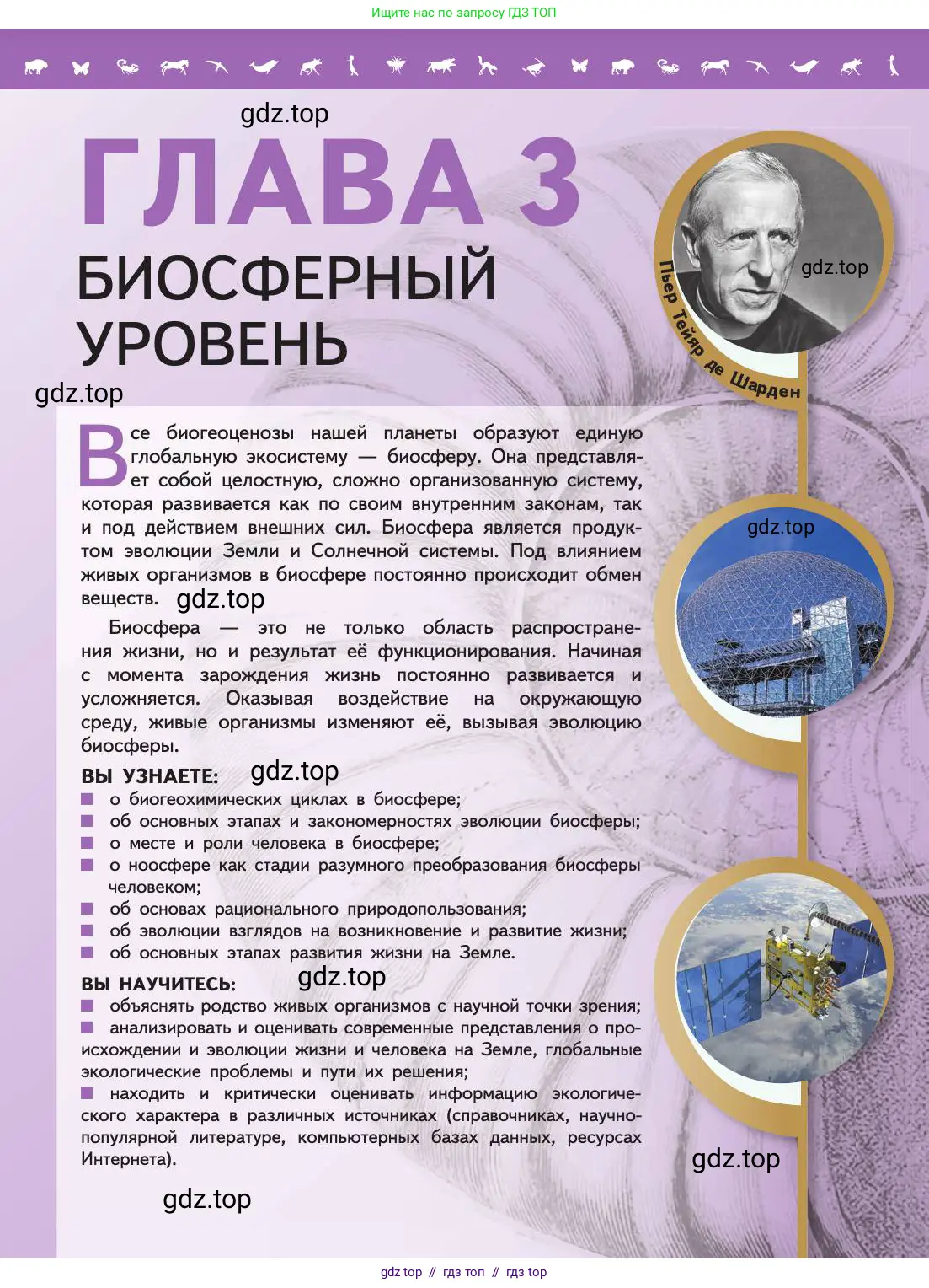 Биология, 11 класс Учебник, авторы: Пасечник Владимир Васильевич, Каменский Андрей Александрович, Рубцов Александр Михайлович, Швецов Глеб Геннадьевич, Абовян Леван Арташесович, Гапонюк Зоя Георгиевна, издательство Просвещение, Москва, 2019, страница 211