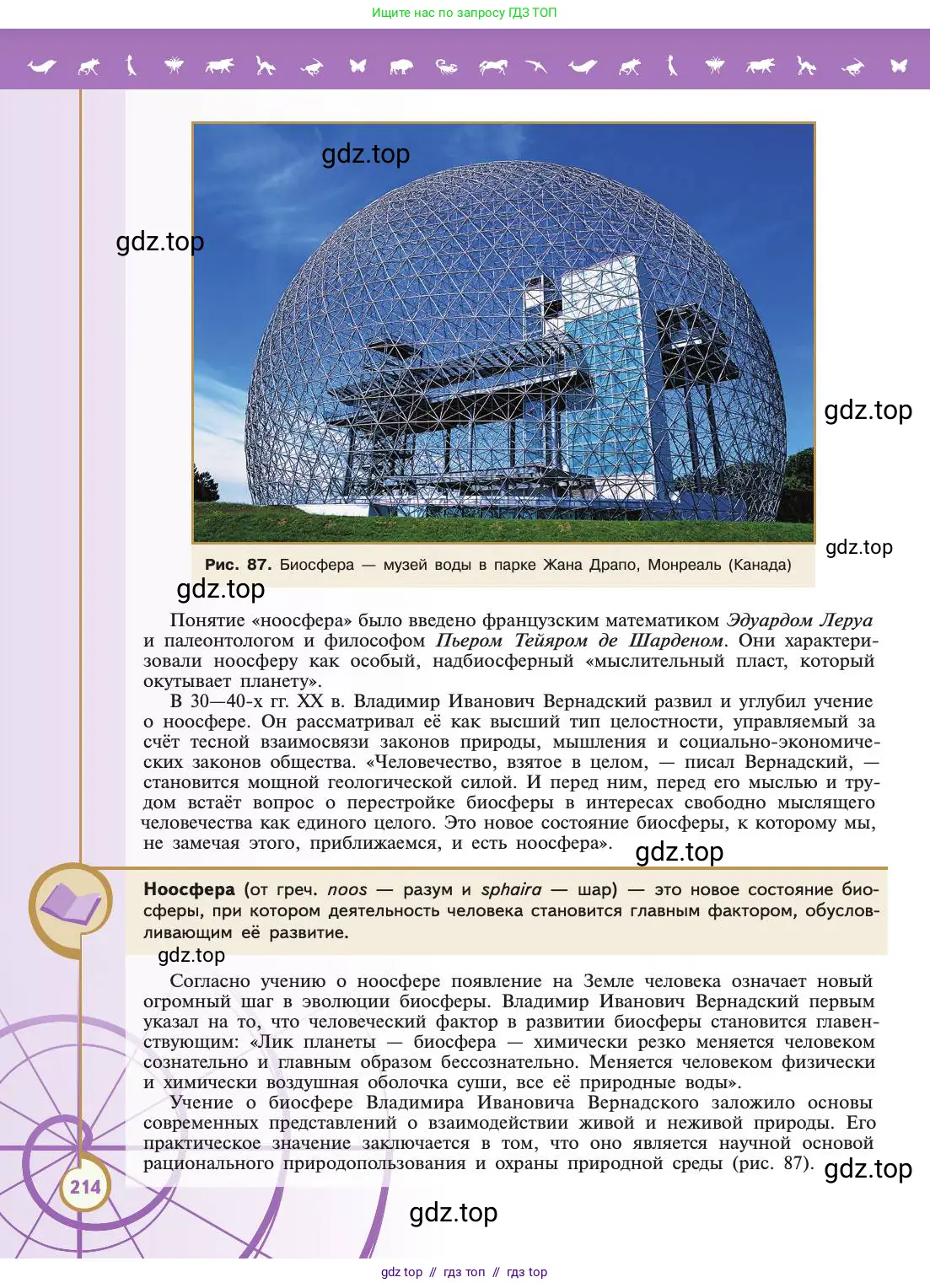 Биология, 11 класс Учебник, авторы: Пасечник Владимир Васильевич, Каменский Андрей Александрович, Рубцов Александр Михайлович, Швецов Глеб Геннадьевич, Абовян Леван Арташесович, Гапонюк Зоя Георгиевна, издательство Просвещение, Москва, 2019, страница 214