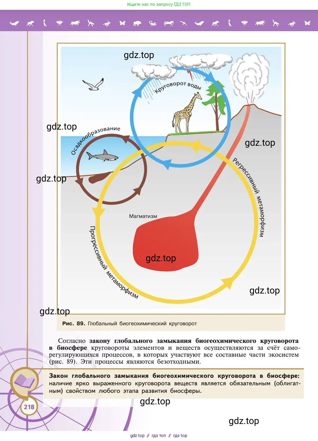 Биология, 11 класс Учебник, авторы: Пасечник Владимир Васильевич, Каменский Андрей Александрович, Рубцов Александр Михайлович, Швецов Глеб Геннадьевич, Абовян Леван Арташесович, Гапонюк Зоя Георгиевна, издательство Просвещение, Москва, 2019, страница 218