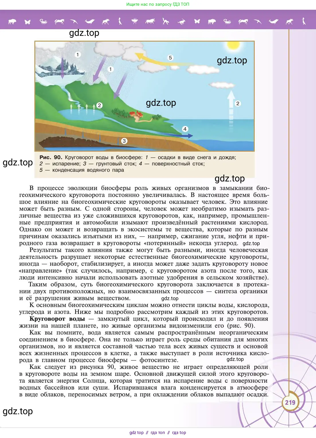 Биология, 11 класс Учебник, авторы: Пасечник Владимир Васильевич, Каменский Андрей Александрович, Рубцов Александр Михайлович, Швецов Глеб Геннадьевич, Абовян Леван Арташесович, Гапонюк Зоя Георгиевна, издательство Просвещение, Москва, 2019, страница 219