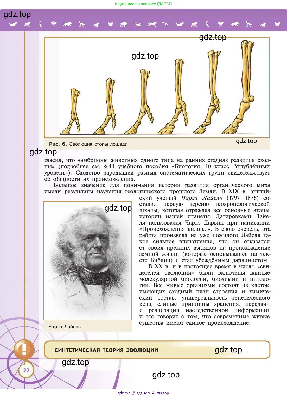 Биология, 11 класс Учебник, авторы: Пасечник Владимир Васильевич, Каменский Андрей Александрович, Рубцов Александр Михайлович, Швецов Глеб Геннадьевич, Абовян Леван Арташесович, Гапонюк Зоя Георгиевна, издательство Просвещение, Москва, 2019, страница 22