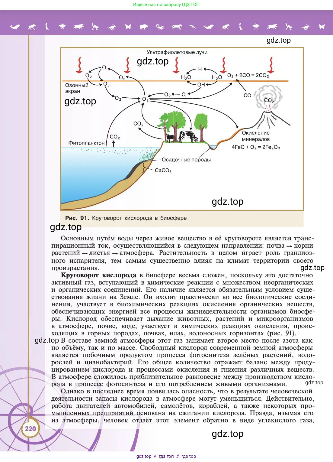 Биология, 11 класс Учебник, авторы: Пасечник Владимир Васильевич, Каменский Андрей Александрович, Рубцов Александр Михайлович, Швецов Глеб Геннадьевич, Абовян Леван Арташесович, Гапонюк Зоя Георгиевна, издательство Просвещение, Москва, 2019, страница 220