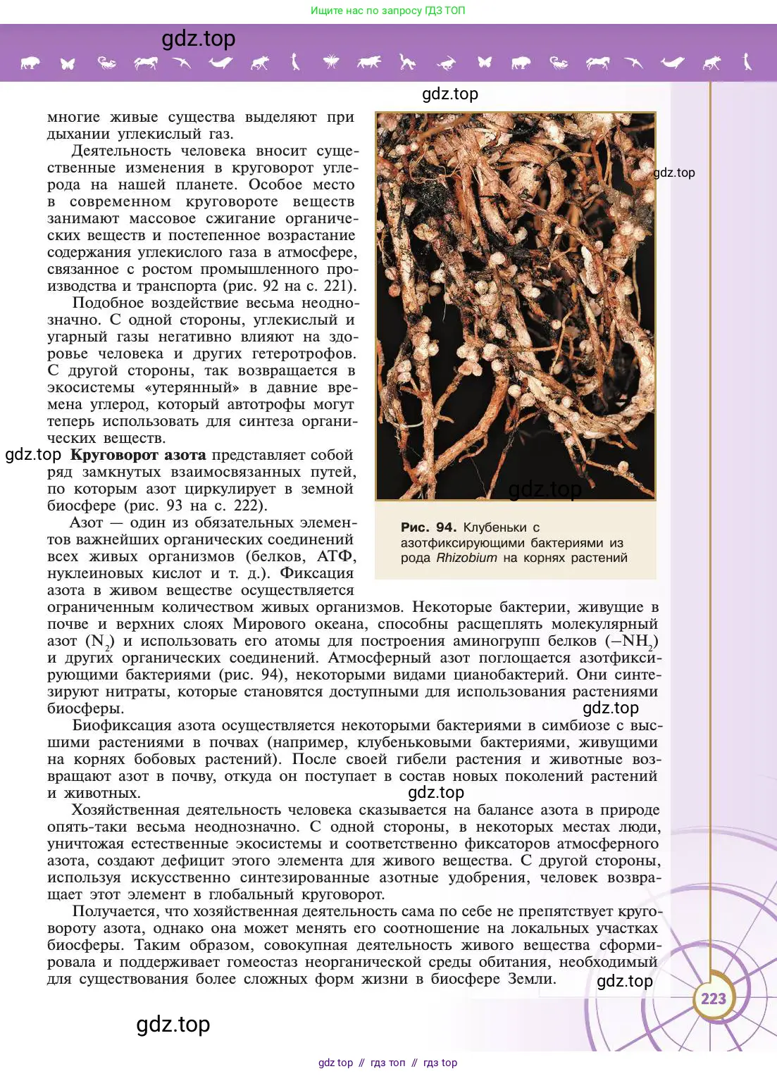 Биология, 11 класс Учебник, авторы: Пасечник Владимир Васильевич, Каменский Андрей Александрович, Рубцов Александр Михайлович, Швецов Глеб Геннадьевич, Абовян Леван Арташесович, Гапонюк Зоя Георгиевна, издательство Просвещение, Москва, 2019, страница 223