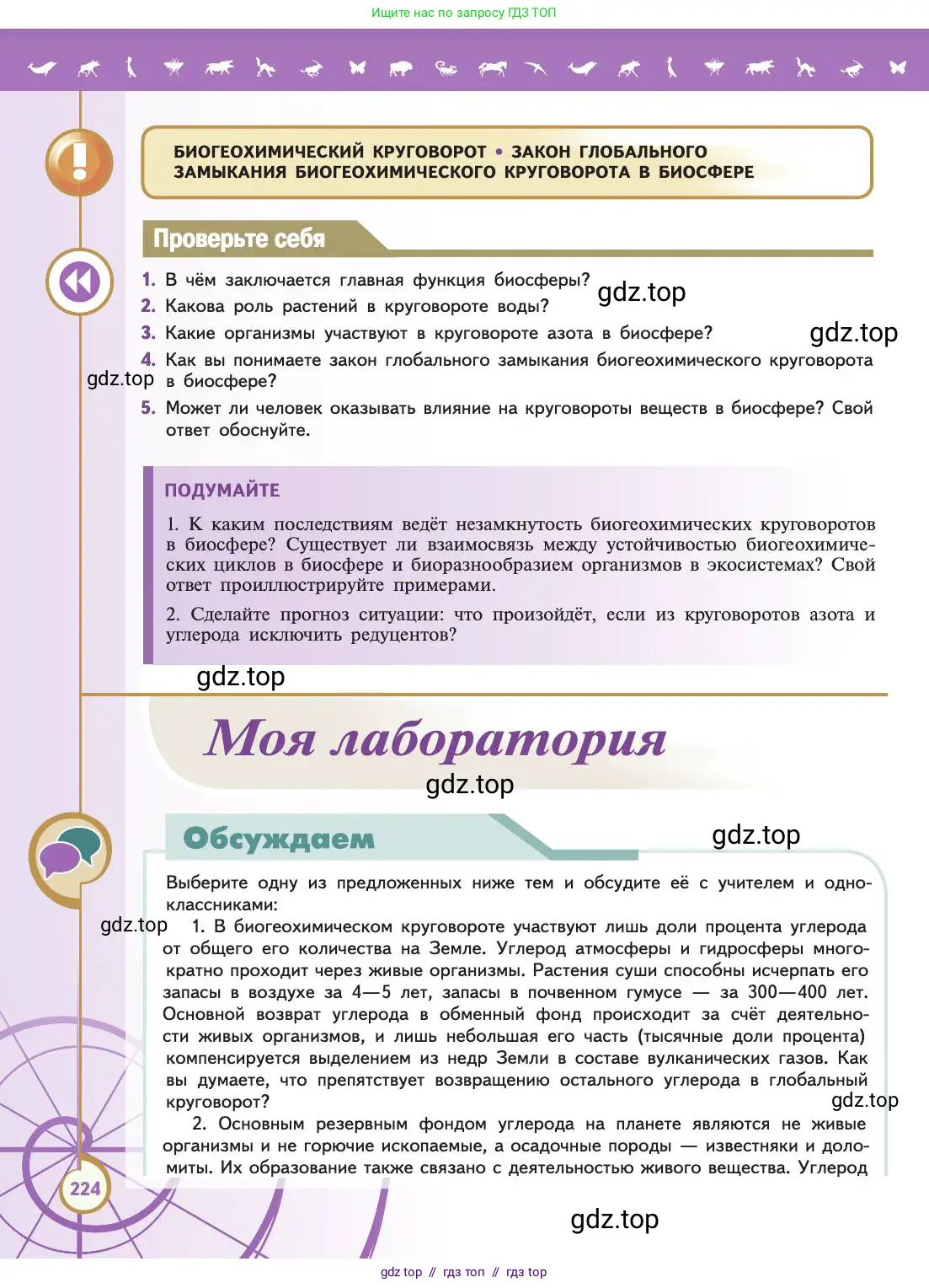 Биология, 11 класс Учебник, авторы: Пасечник Владимир Васильевич, Каменский Андрей Александрович, Рубцов Александр Михайлович, Швецов Глеб Геннадьевич, Абовян Леван Арташесович, Гапонюк Зоя Георгиевна, издательство Просвещение, Москва, 2019, страница 224