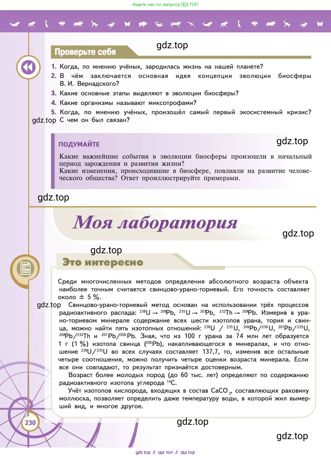 Биология, 11 класс Учебник, авторы: Пасечник Владимир Васильевич, Каменский Андрей Александрович, Рубцов Александр Михайлович, Швецов Глеб Геннадьевич, Абовян Леван Арташесович, Гапонюк Зоя Георгиевна, издательство Просвещение, Москва, 2019, страница 230
