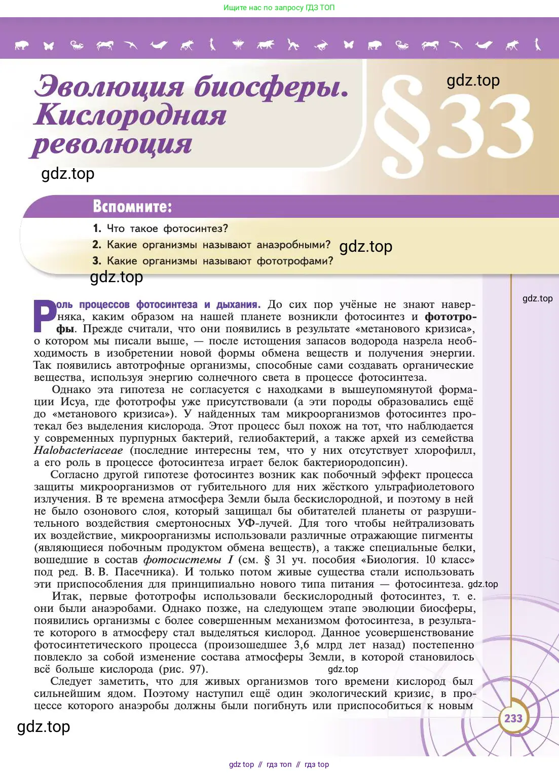 Биология, 11 класс Учебник, авторы: Пасечник Владимир Васильевич, Каменский Андрей Александрович, Рубцов Александр Михайлович, Швецов Глеб Геннадьевич, Абовян Леван Арташесович, Гапонюк Зоя Георгиевна, издательство Просвещение, Москва, 2019, страница 233