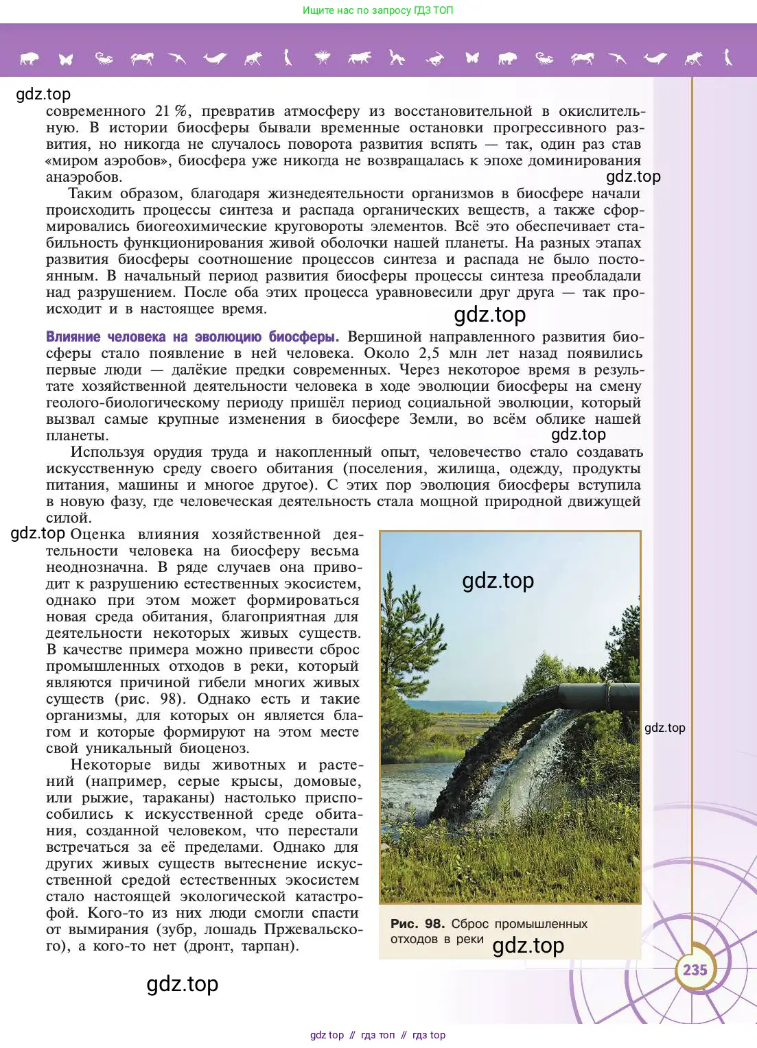 Биология, 11 класс Учебник, авторы: Пасечник Владимир Васильевич, Каменский Андрей Александрович, Рубцов Александр Михайлович, Швецов Глеб Геннадьевич, Абовян Леван Арташесович, Гапонюк Зоя Георгиевна, издательство Просвещение, Москва, 2019, страница 235