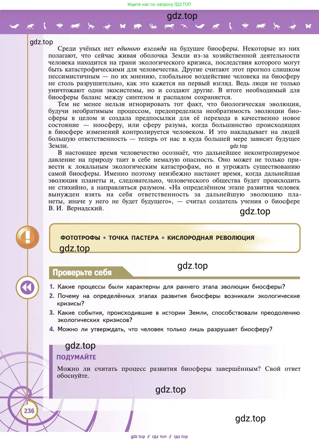 Биология, 11 класс Учебник, авторы: Пасечник Владимир Васильевич, Каменский Андрей Александрович, Рубцов Александр Михайлович, Швецов Глеб Геннадьевич, Абовян Леван Арташесович, Гапонюк Зоя Георгиевна, издательство Просвещение, Москва, 2019, страница 236