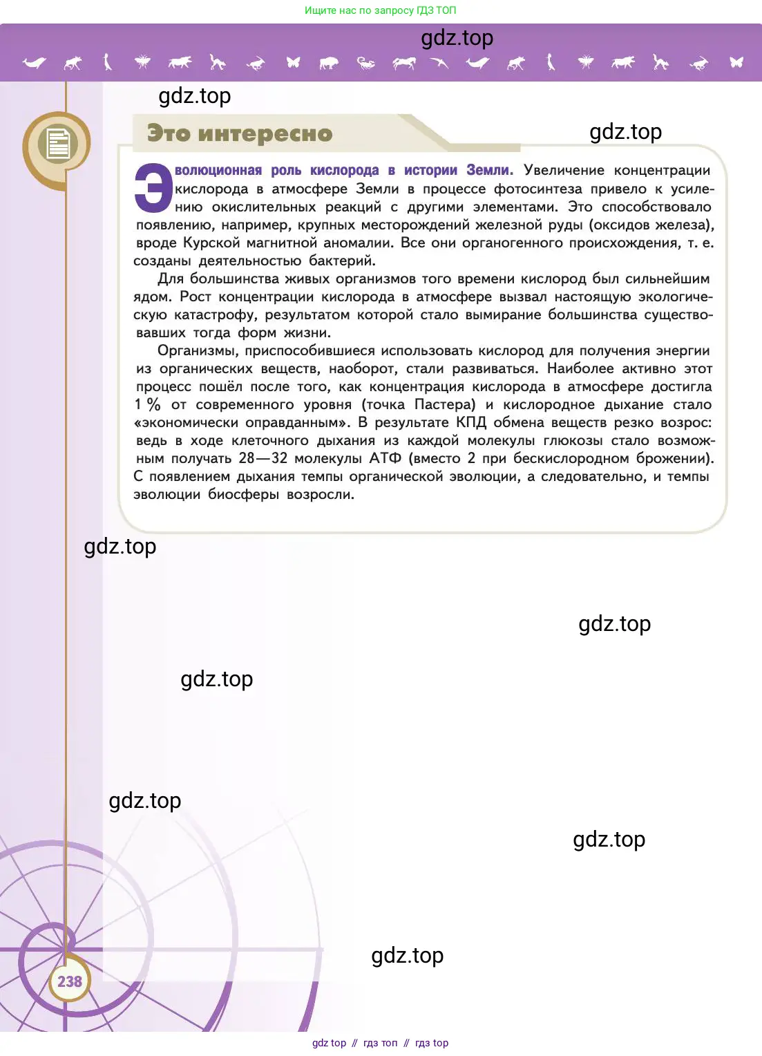 Биология, 11 класс Учебник, авторы: Пасечник Владимир Васильевич, Каменский Андрей Александрович, Рубцов Александр Михайлович, Швецов Глеб Геннадьевич, Абовян Леван Арташесович, Гапонюк Зоя Георгиевна, издательство Просвещение, Москва, 2019, страница 238