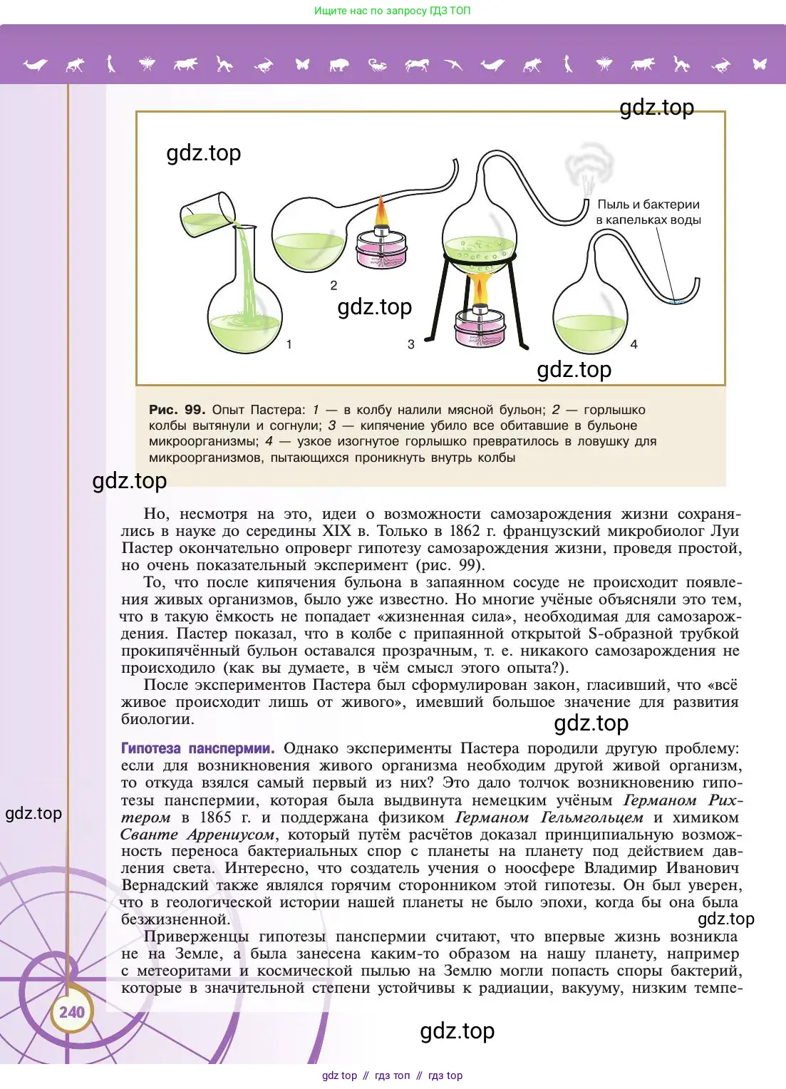 Биология, 11 класс Учебник, авторы: Пасечник Владимир Васильевич, Каменский Андрей Александрович, Рубцов Александр Михайлович, Швецов Глеб Геннадьевич, Абовян Леван Арташесович, Гапонюк Зоя Георгиевна, издательство Просвещение, Москва, 2019, страница 240