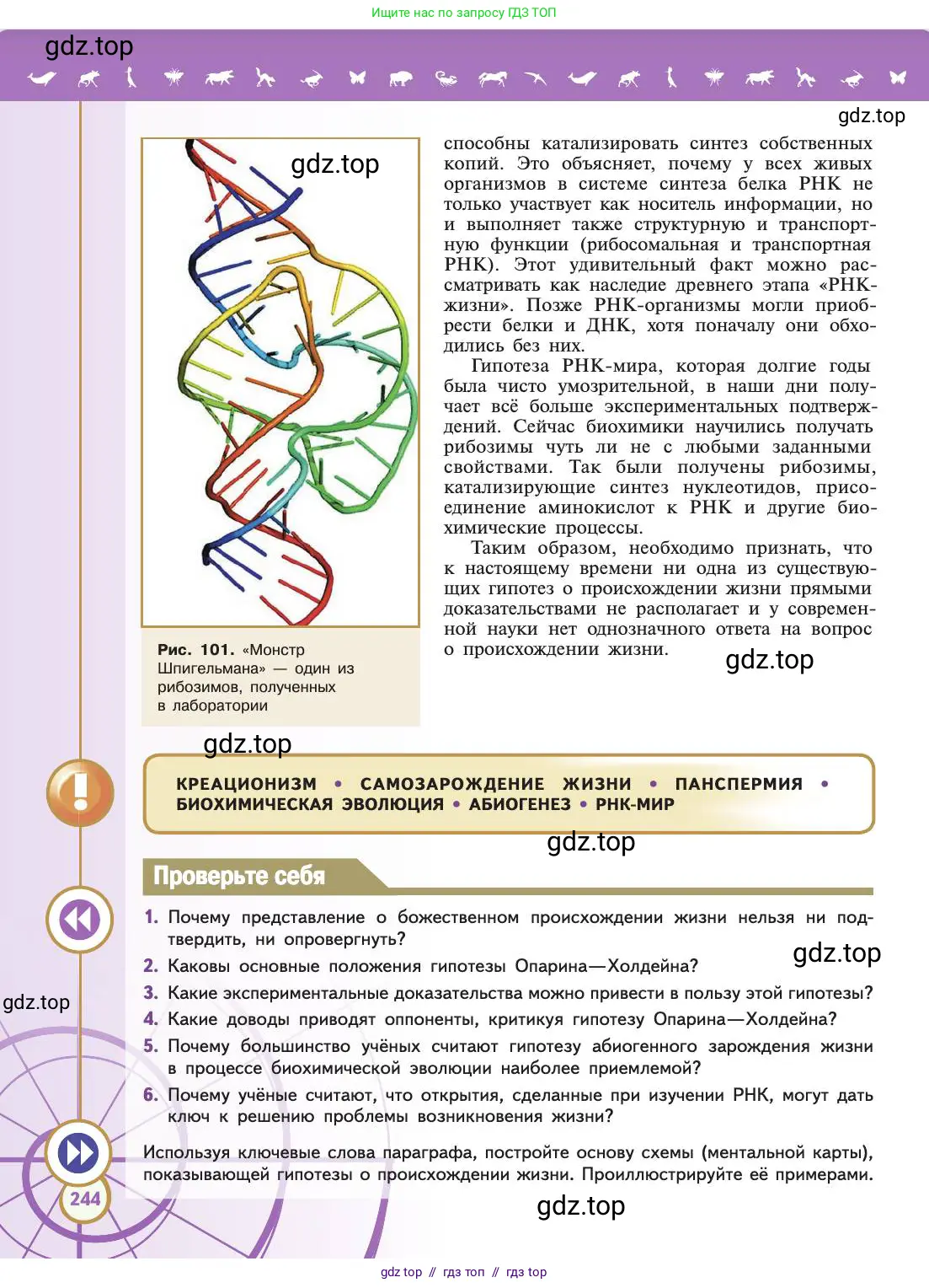 Биология, 11 класс Учебник, авторы: Пасечник Владимир Васильевич, Каменский Андрей Александрович, Рубцов Александр Михайлович, Швецов Глеб Геннадьевич, Абовян Леван Арташесович, Гапонюк Зоя Георгиевна, издательство Просвещение, Москва, 2019, страница 244
