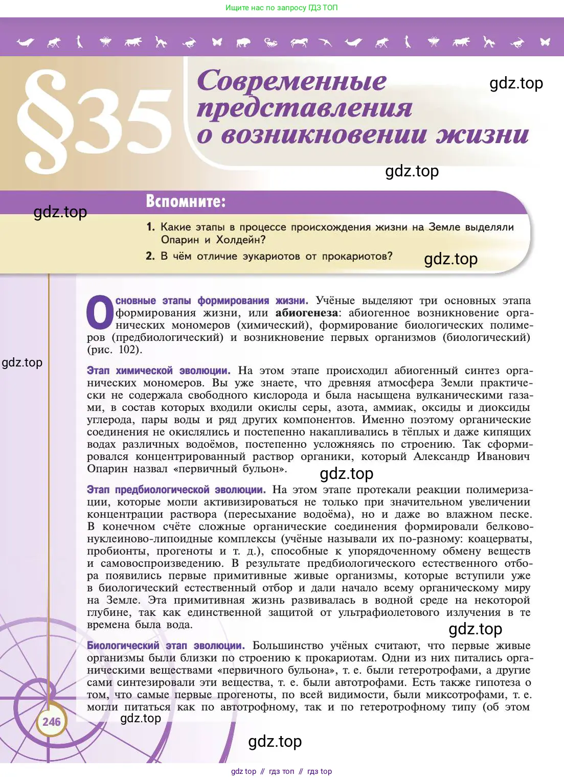 Биология, 11 класс Учебник, авторы: Пасечник Владимир Васильевич, Каменский Андрей Александрович, Рубцов Александр Михайлович, Швецов Глеб Геннадьевич, Абовян Леван Арташесович, Гапонюк Зоя Георгиевна, издательство Просвещение, Москва, 2019, страница 246