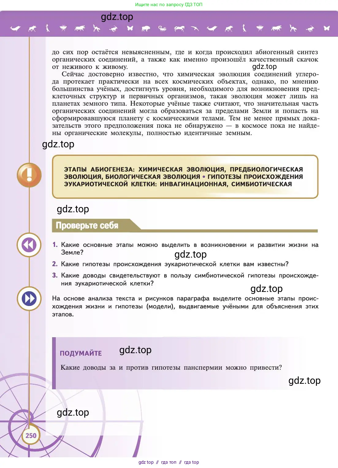 Биология, 11 класс Учебник, авторы: Пасечник Владимир Васильевич, Каменский Андрей Александрович, Рубцов Александр Михайлович, Швецов Глеб Геннадьевич, Абовян Леван Арташесович, Гапонюк Зоя Георгиевна, издательство Просвещение, Москва, 2019, страница 250